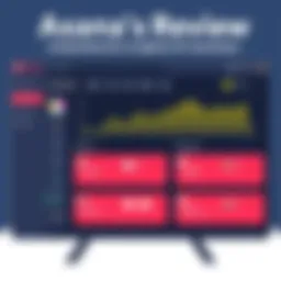 Asana Dashboard Overview