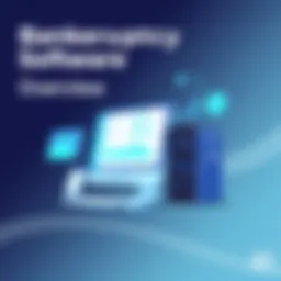 Visual representation of bankruptcy software interface