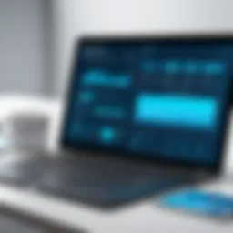 A visual representation of EMR software interface showcasing user-friendly design.