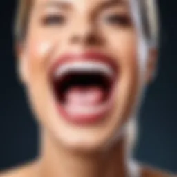User interface of Cliosoft Dental software showcasing intuitive navigation