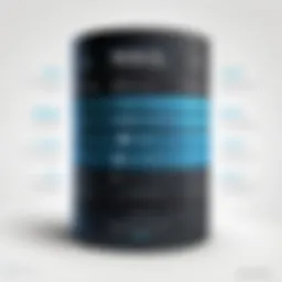 Visual representation of NoSQL database architecture
