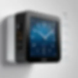 User interface of punch clock software showcasing time tracking features