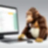 Visual representation of SurveyMonkey and Mailchimp integration