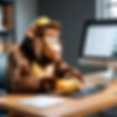 Challenges faced during the integration of Mailchimp and Airtable