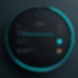 Visual representation of the dot loop login interface