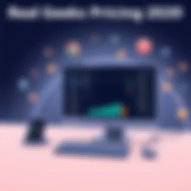 Real Geeks Pricing 2020: A Comprehensive Analysis Introduction