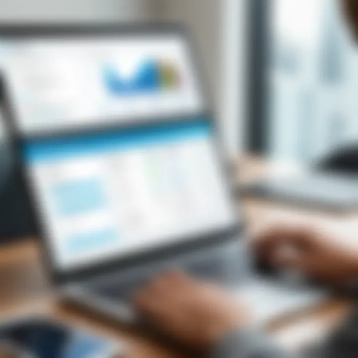 User interface of TaxAct Business software