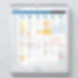 Visual representation of Teamweek Calendar interface