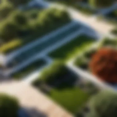 Essential Skills for Landscape Planners Skills essential for professional landscape planners
