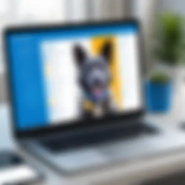 User-Friendly Interface of Blue Dog Merchant Services User-friendly interface of Blue Dog Merchant Services