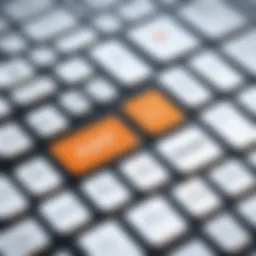 Exploring Zylo's Subscription Models